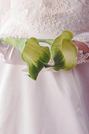 50歳を過ぎても理想の結婚を実現できる